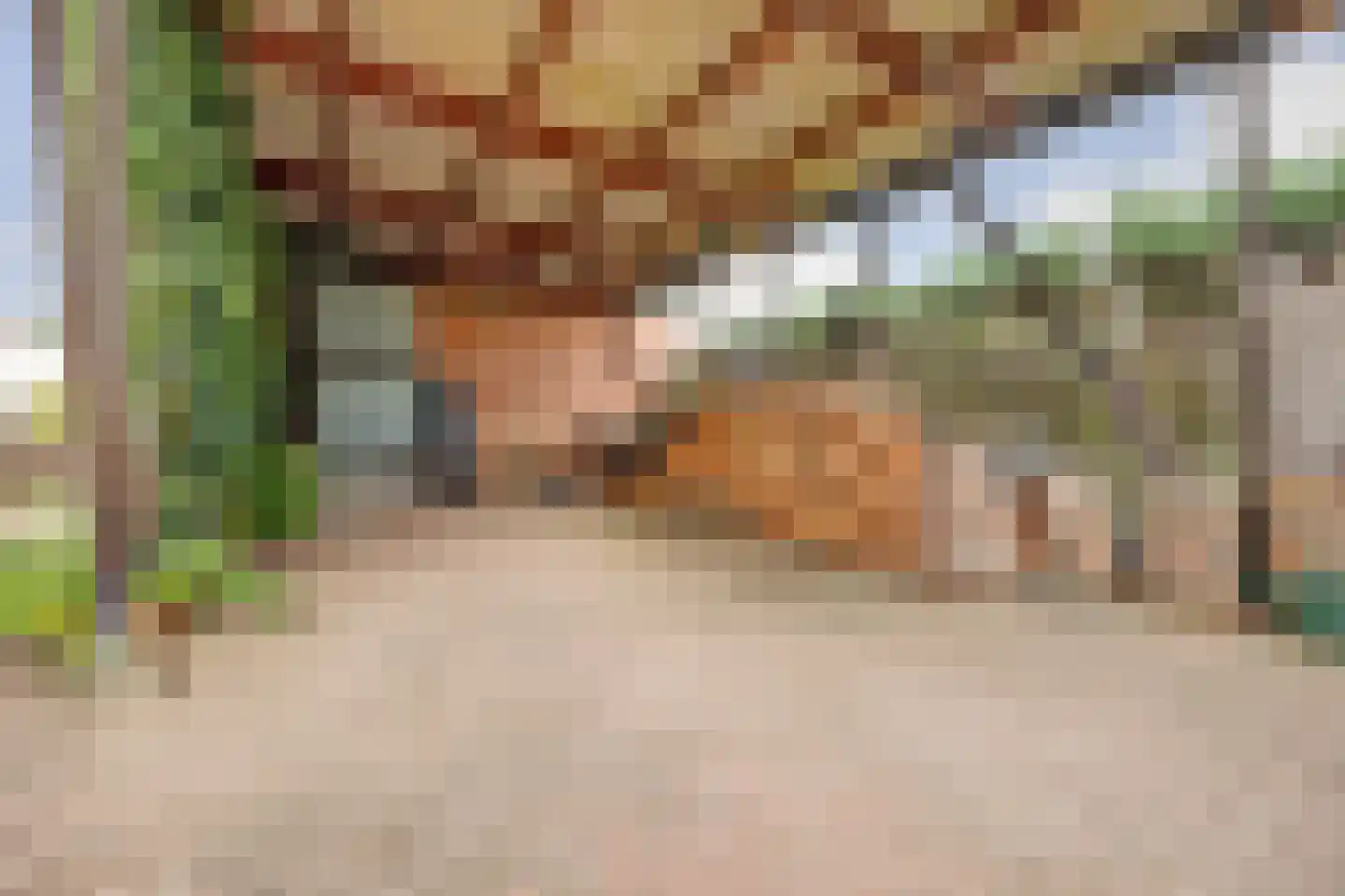 Steenstraat 17 Borculo thumbnail 41