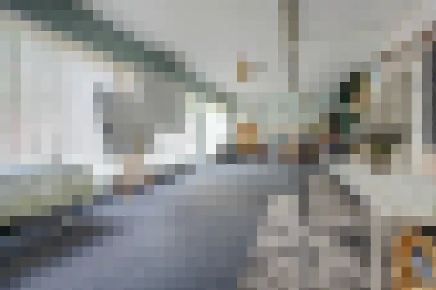 Steenstraat 17 Borculo thumbnail 5
