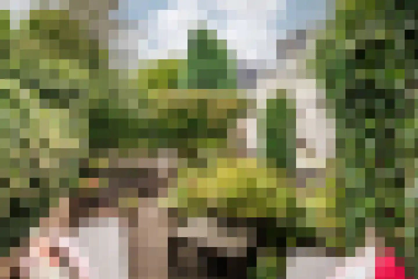 Steenstraat 18 Utrecht thumbnail 18