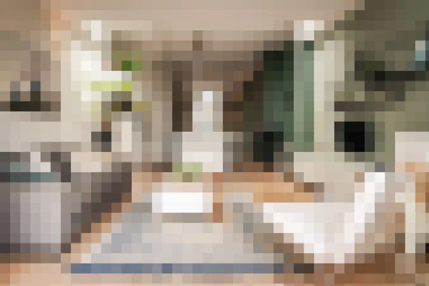 Steenstraat 18 Utrecht thumbnail 20