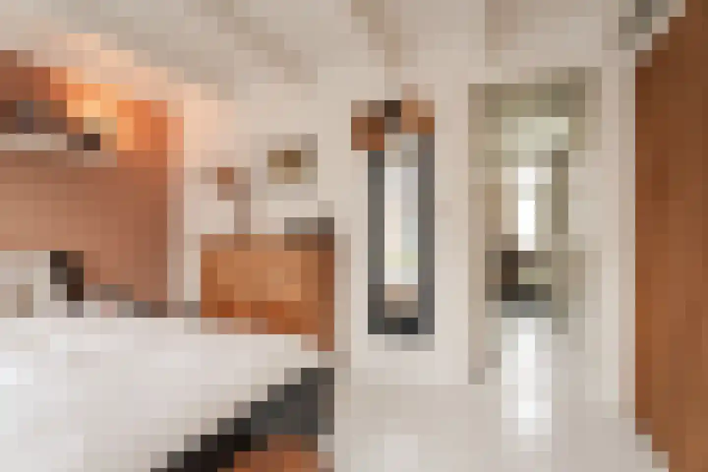 Steenstraat 18 Utrecht thumbnail 24
