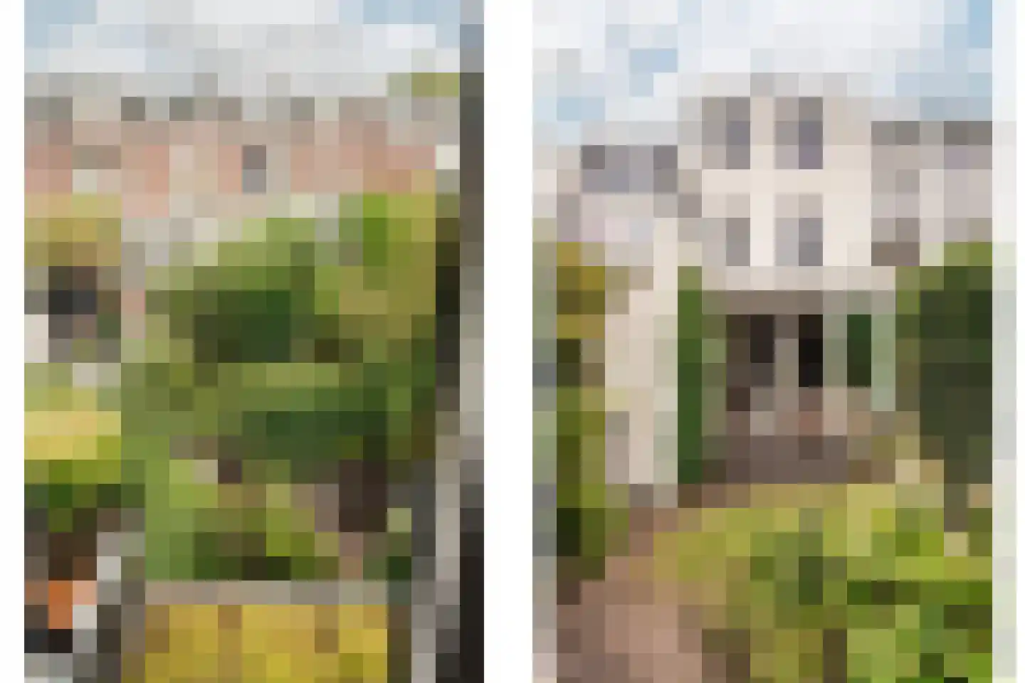 Steenstraat 18 Utrecht thumbnail 43