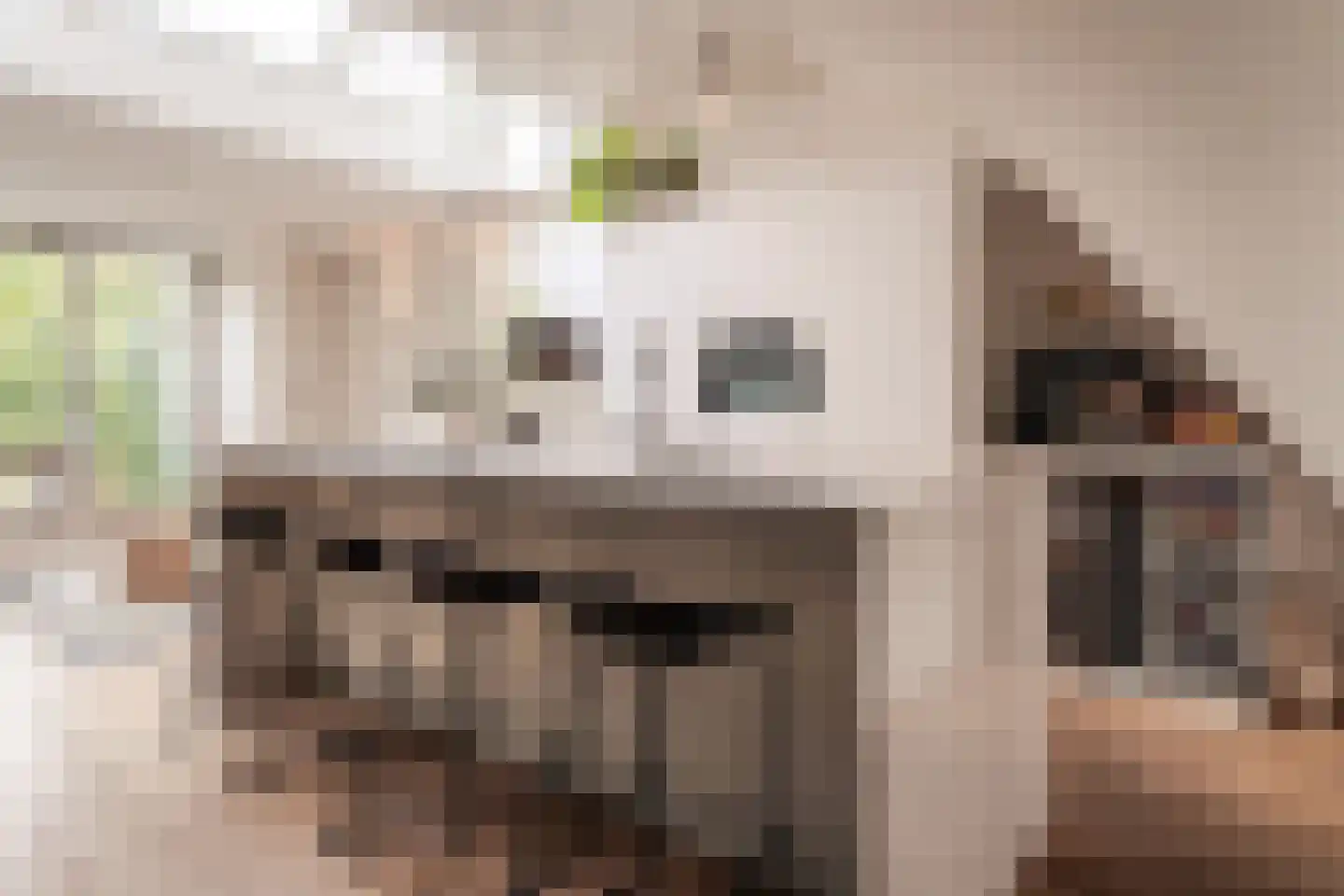 Steenstraat 18 Utrecht thumbnail 7
