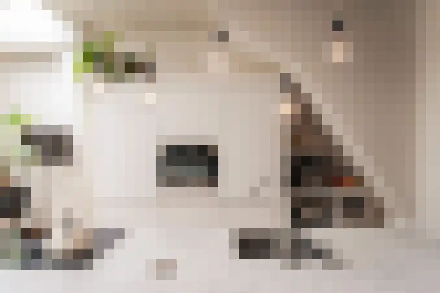 Steenstraat 18 Utrecht thumbnail 8