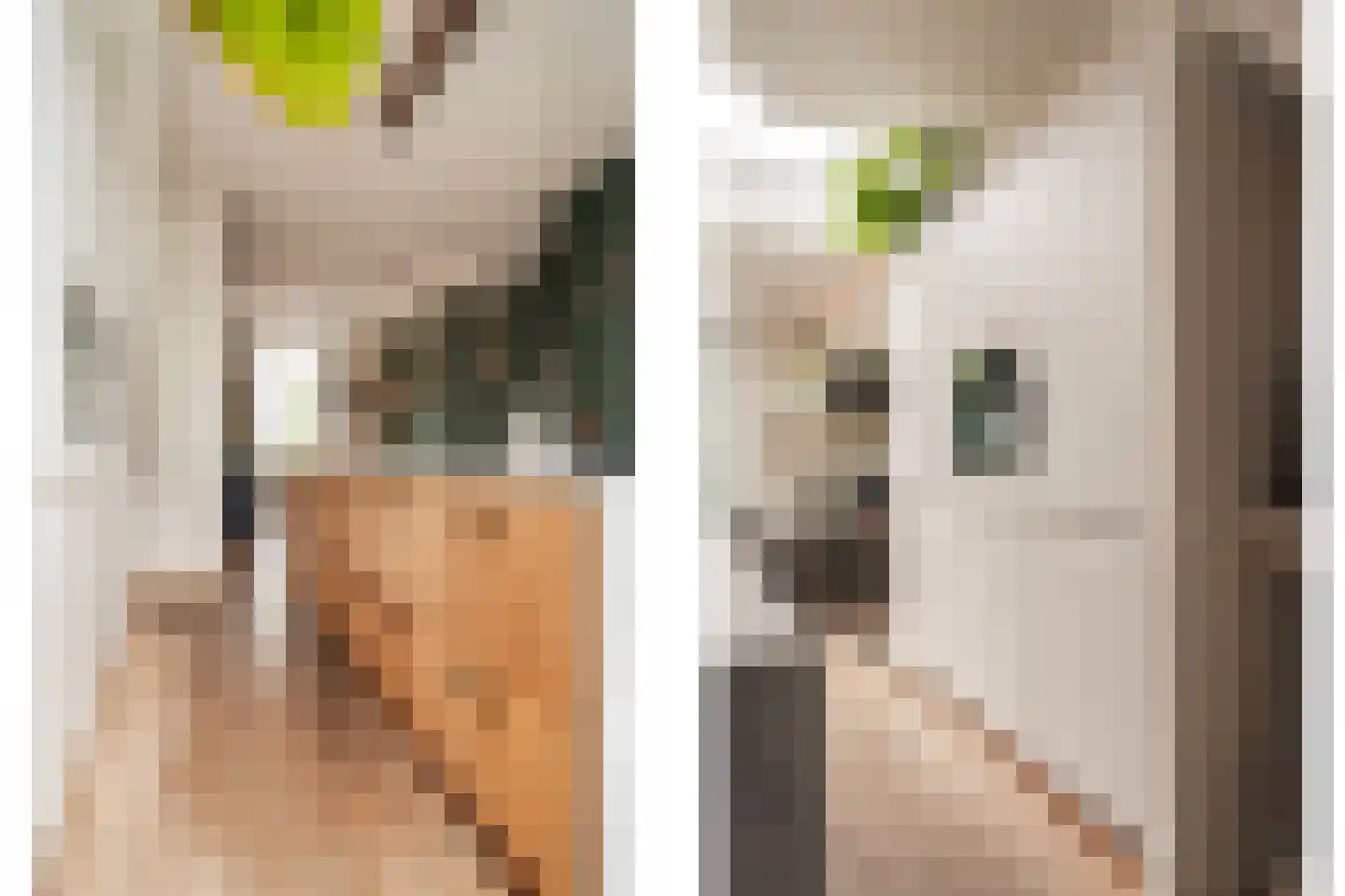Steenstraat 18 Utrecht thumbnail 9