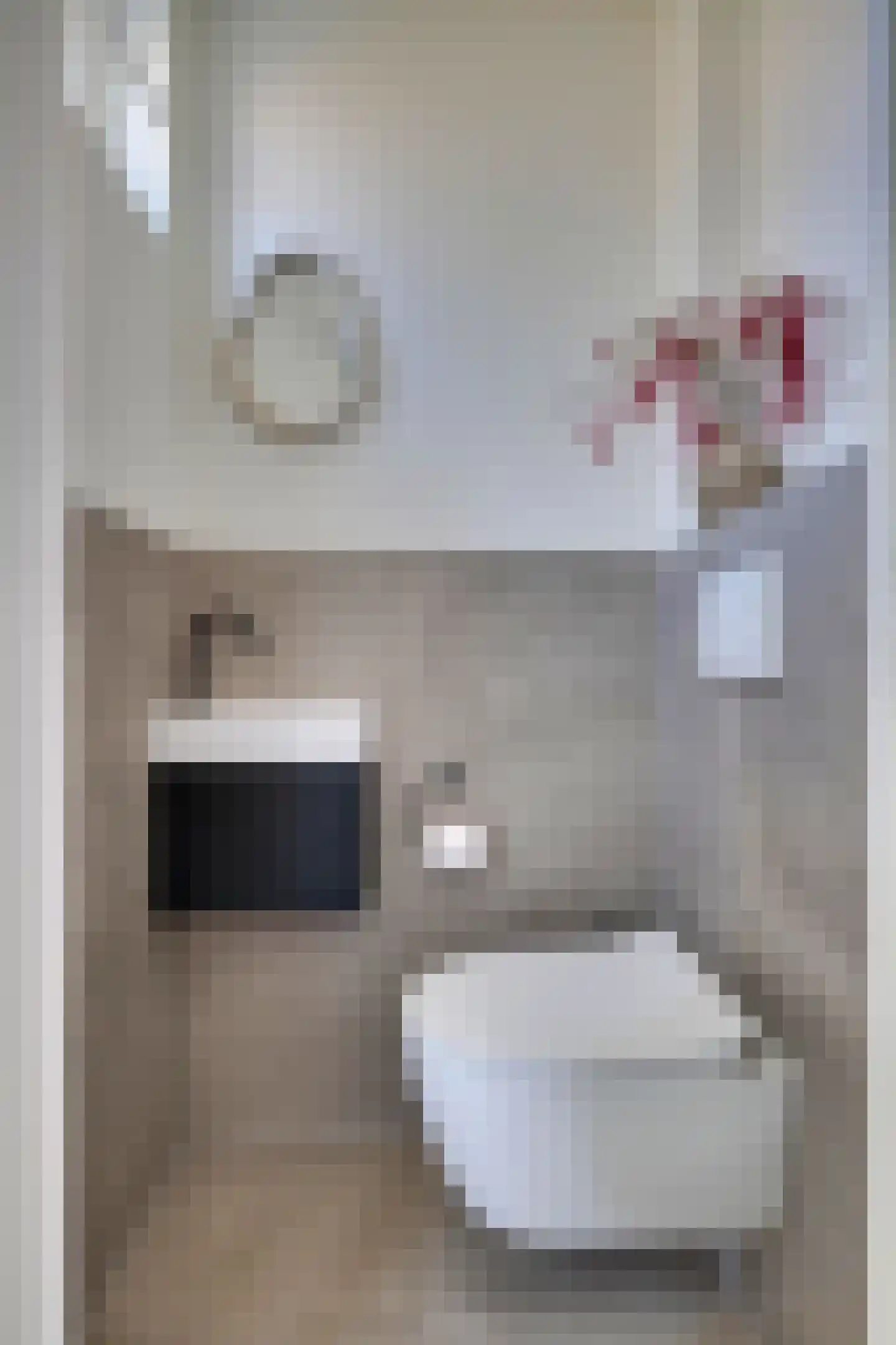 Steenstraat 2 Didam thumbnail 10