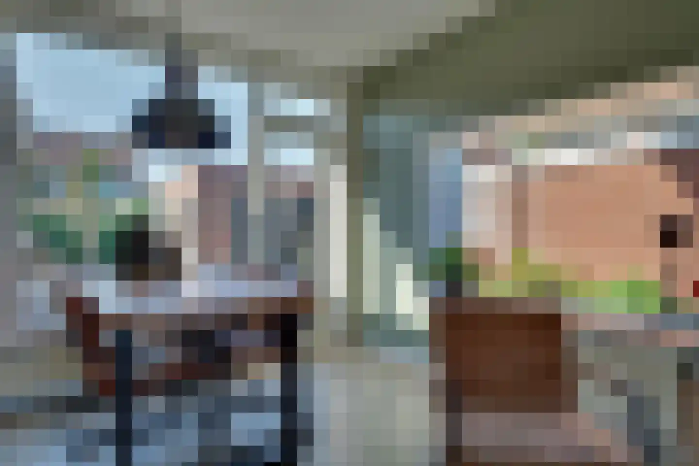 Steenstraat 2 Didam thumbnail 12