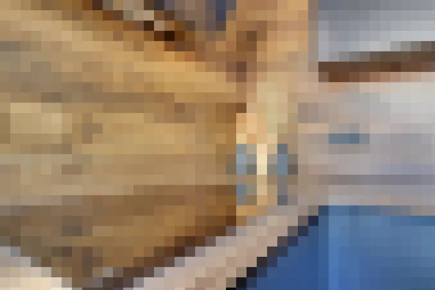 Steenstraat 2 Didam thumbnail 15