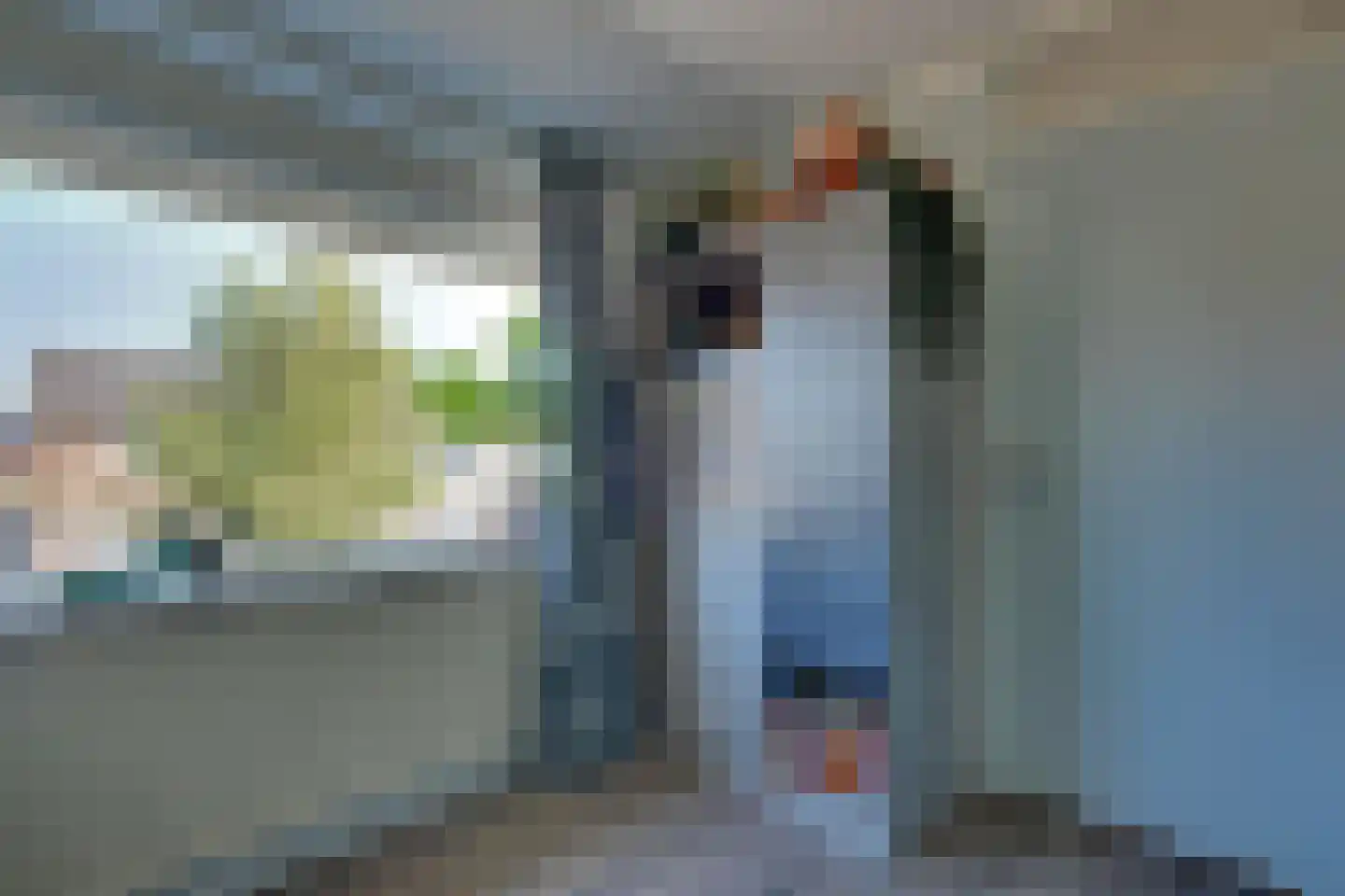 Steenstraat 2 Didam thumbnail 20