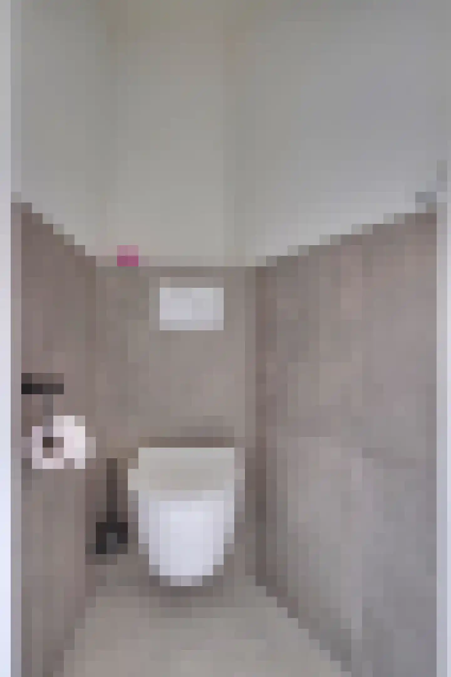 Steenstraat 2 Didam thumbnail 23
