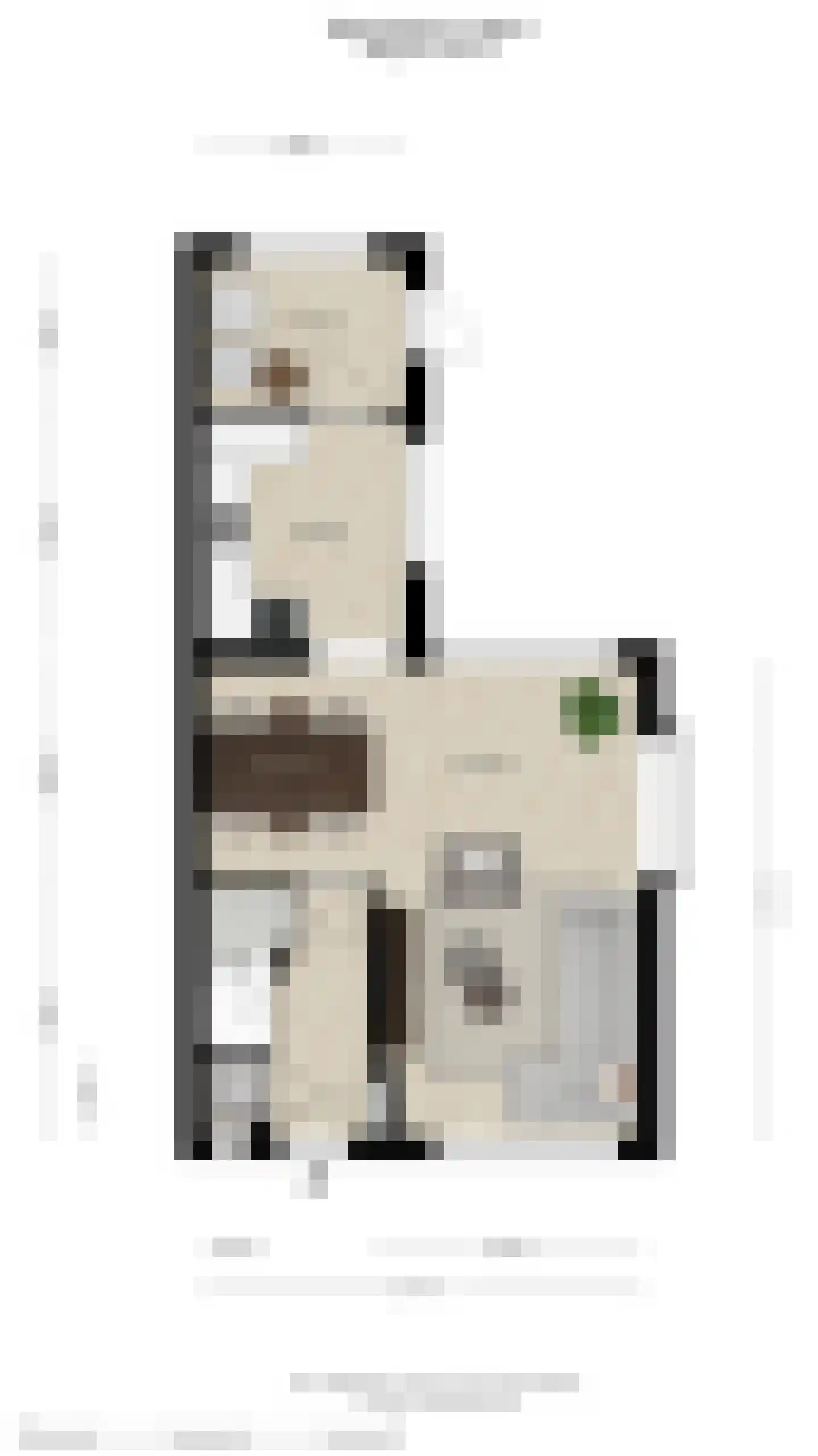 Steenstraat 2 Didam thumbnail 30