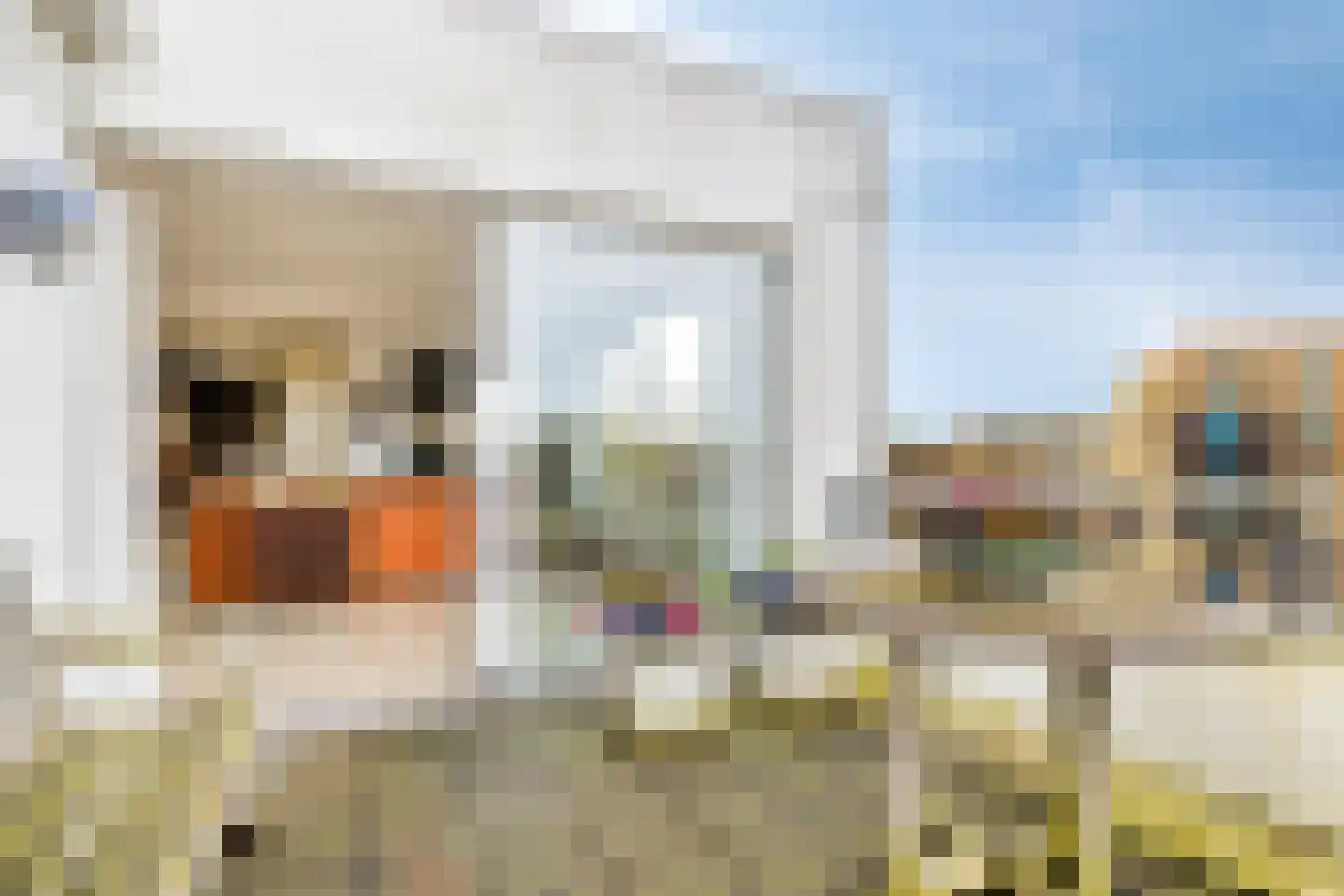 Steenstraat 2 E Veendam thumbnail 26