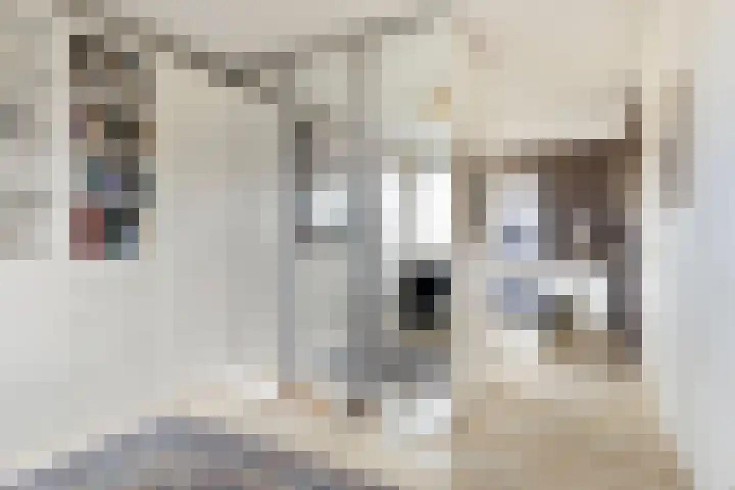 Steenstraat 2 E Veendam thumbnail 41