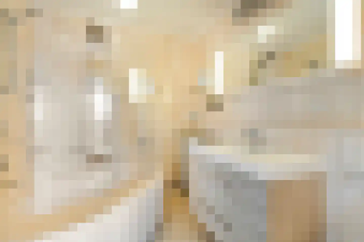 Steenstraat 2 E Veendam thumbnail 42