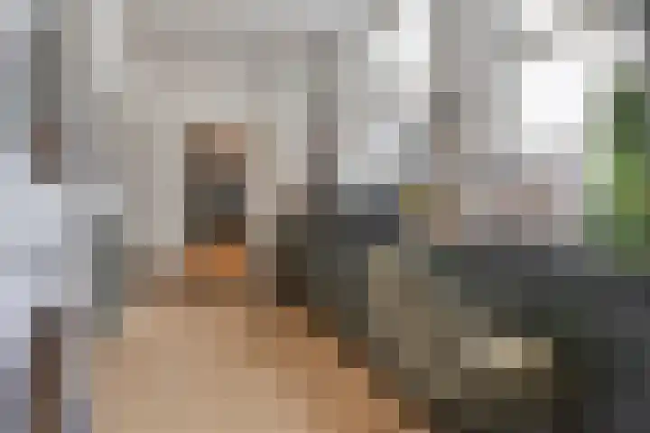 Steenstraat 22 Hulst thumbnail 23