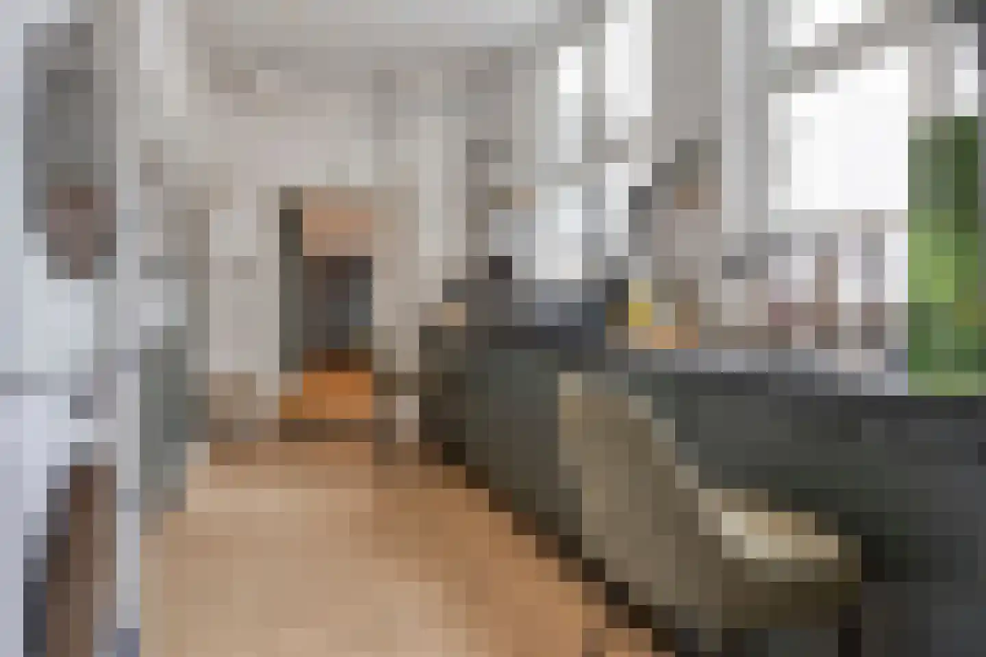 Steenstraat 22 Hulst thumbnail 25