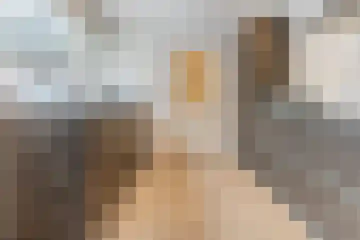 Steenstraat 22 Hulst thumbnail 26
