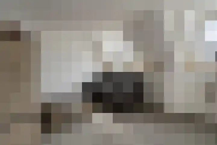 Steenstraat 22 Hulst thumbnail 56