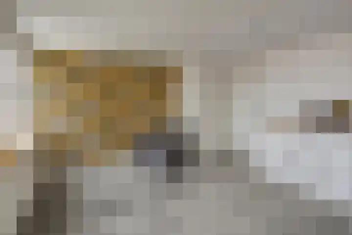 Steenstraat 22 Hulst thumbnail 64