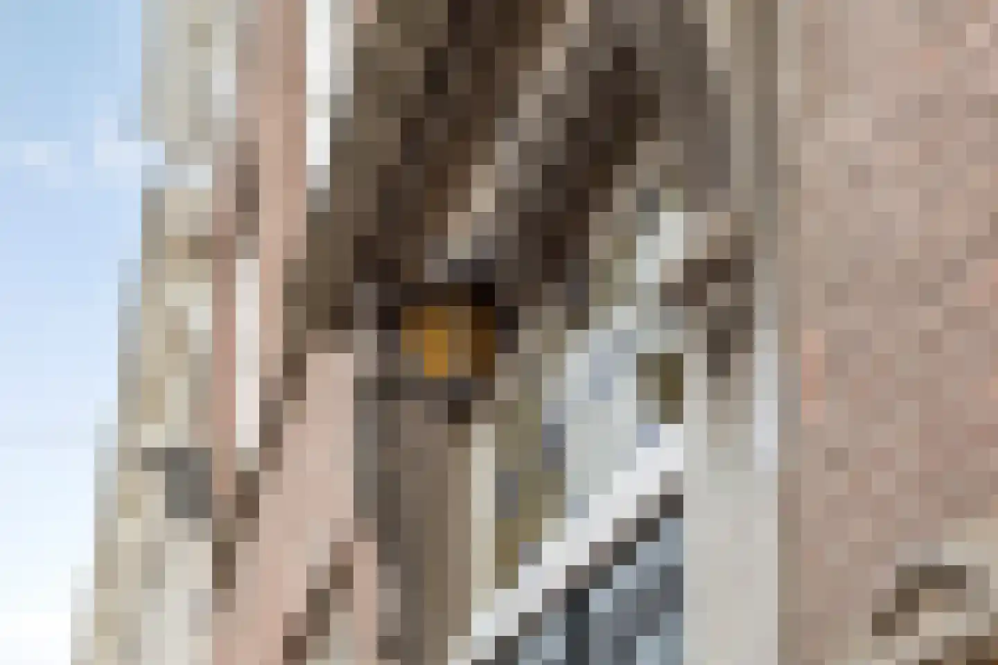 Steenstraat 22 Hulst thumbnail 8