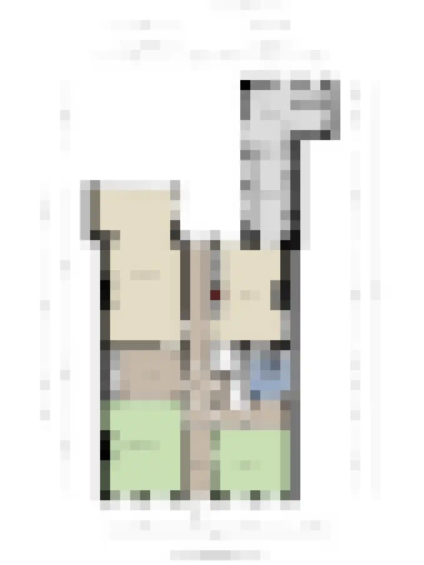 Steenstraat 22 Hulst thumbnail 84