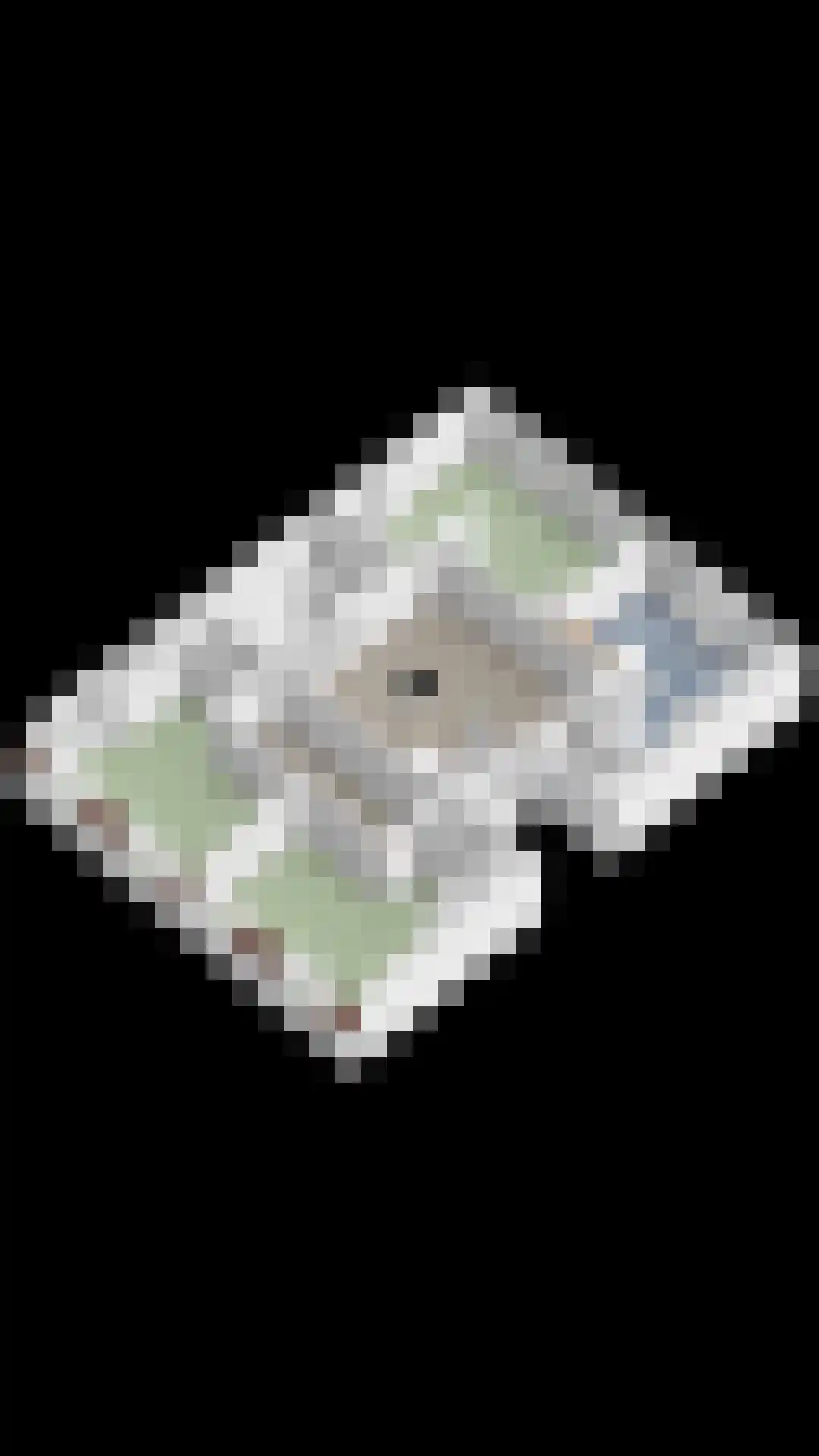 Steenstraat 22 Hulst thumbnail 90