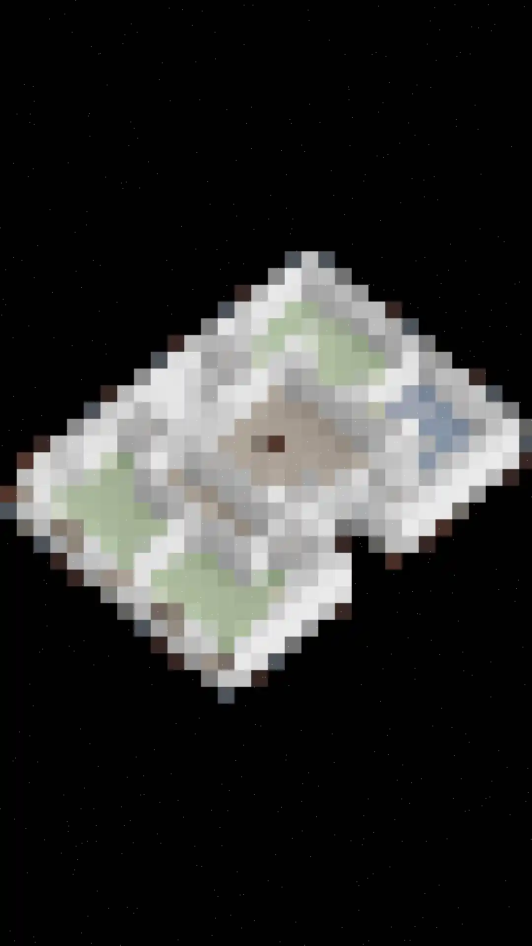 Steenstraat 22 Hulst thumbnail 92