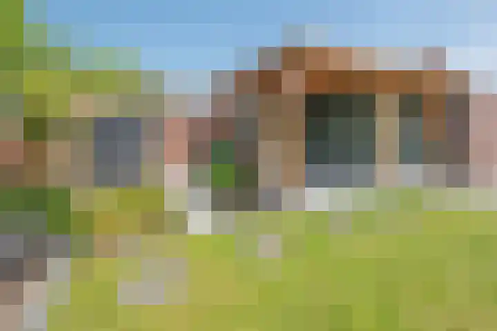 Steenstraat 22 Maasbracht thumbnail 30