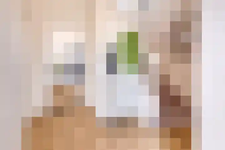 Steenstraat 22 Maasbracht thumbnail 6
