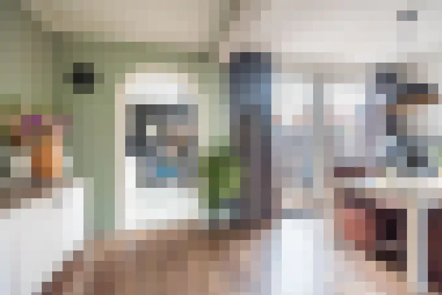 Steenstraat 24 Didam thumbnail 10