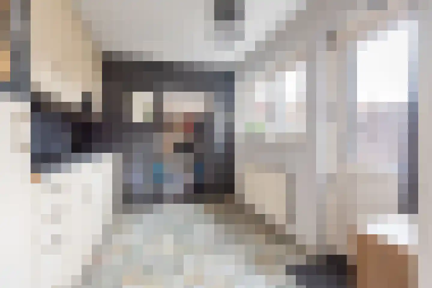 Steenstraat 24 Didam thumbnail 14