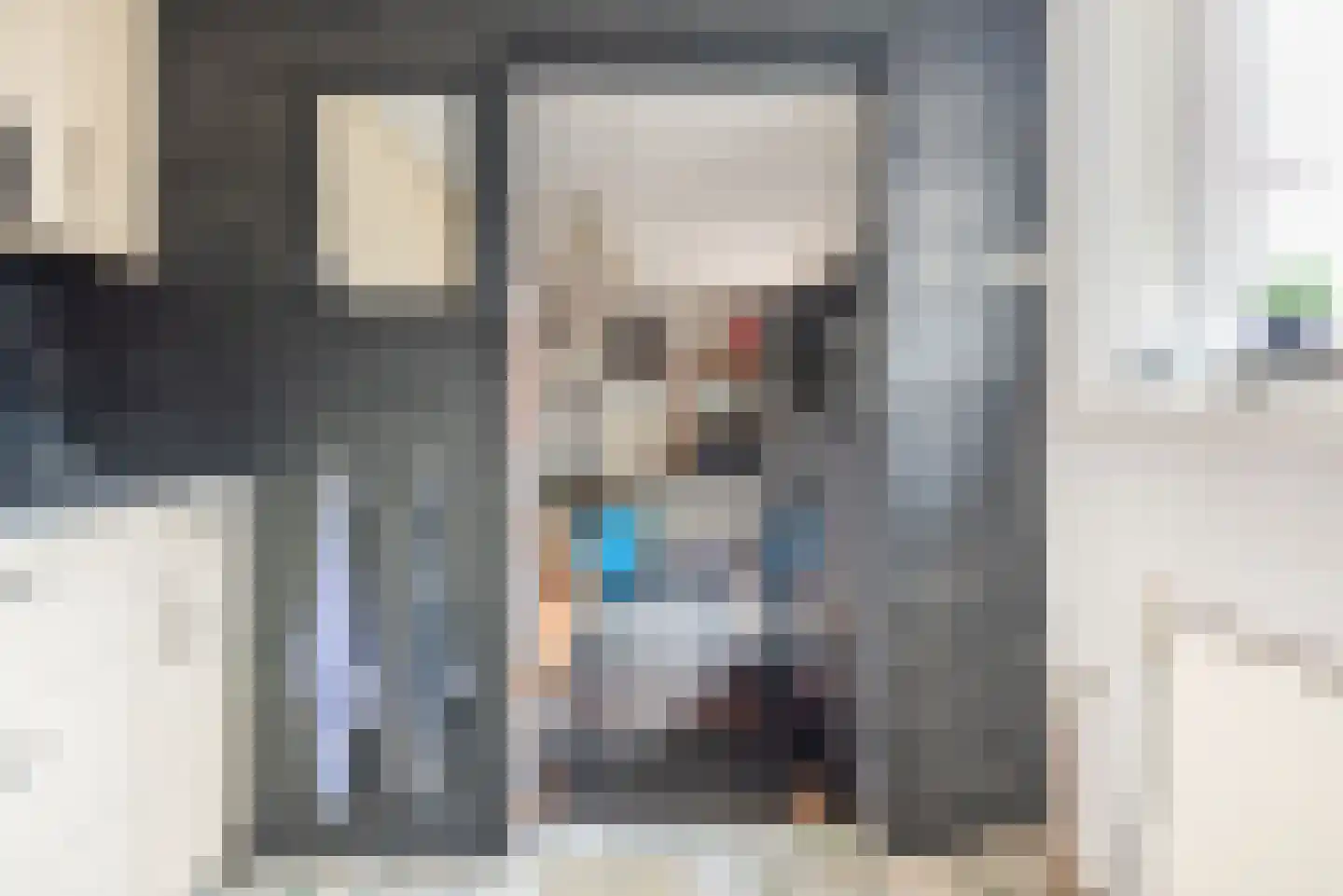 Steenstraat 24 Didam thumbnail 15