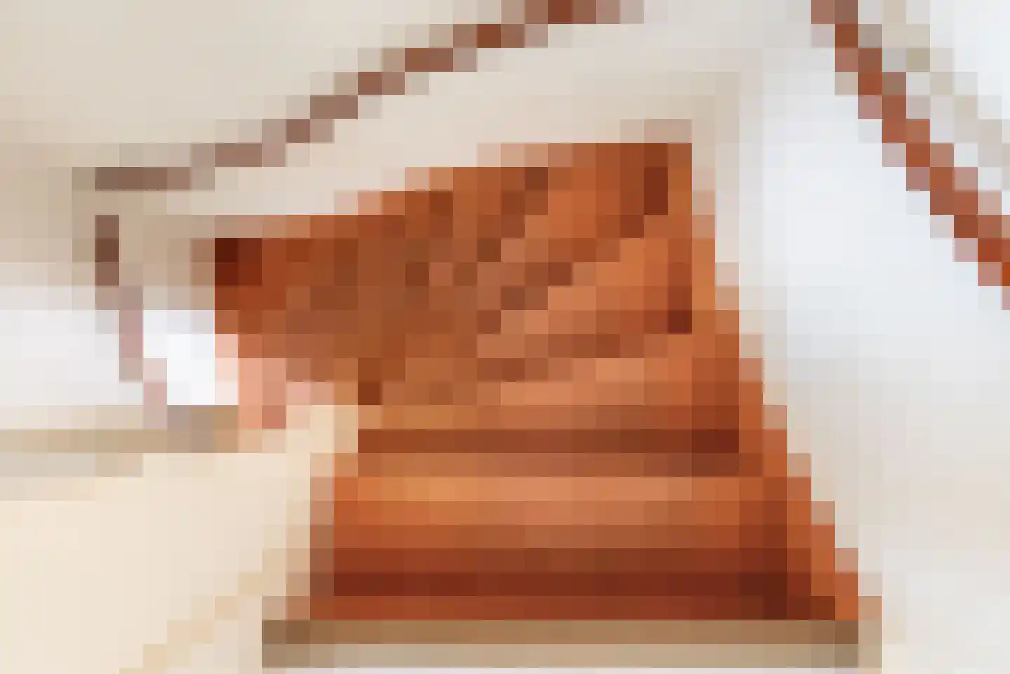 Steenstraat 24 Didam thumbnail 16