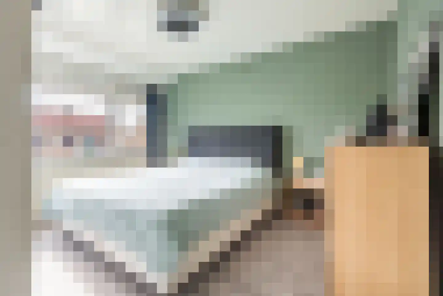 Steenstraat 24 Didam thumbnail 18