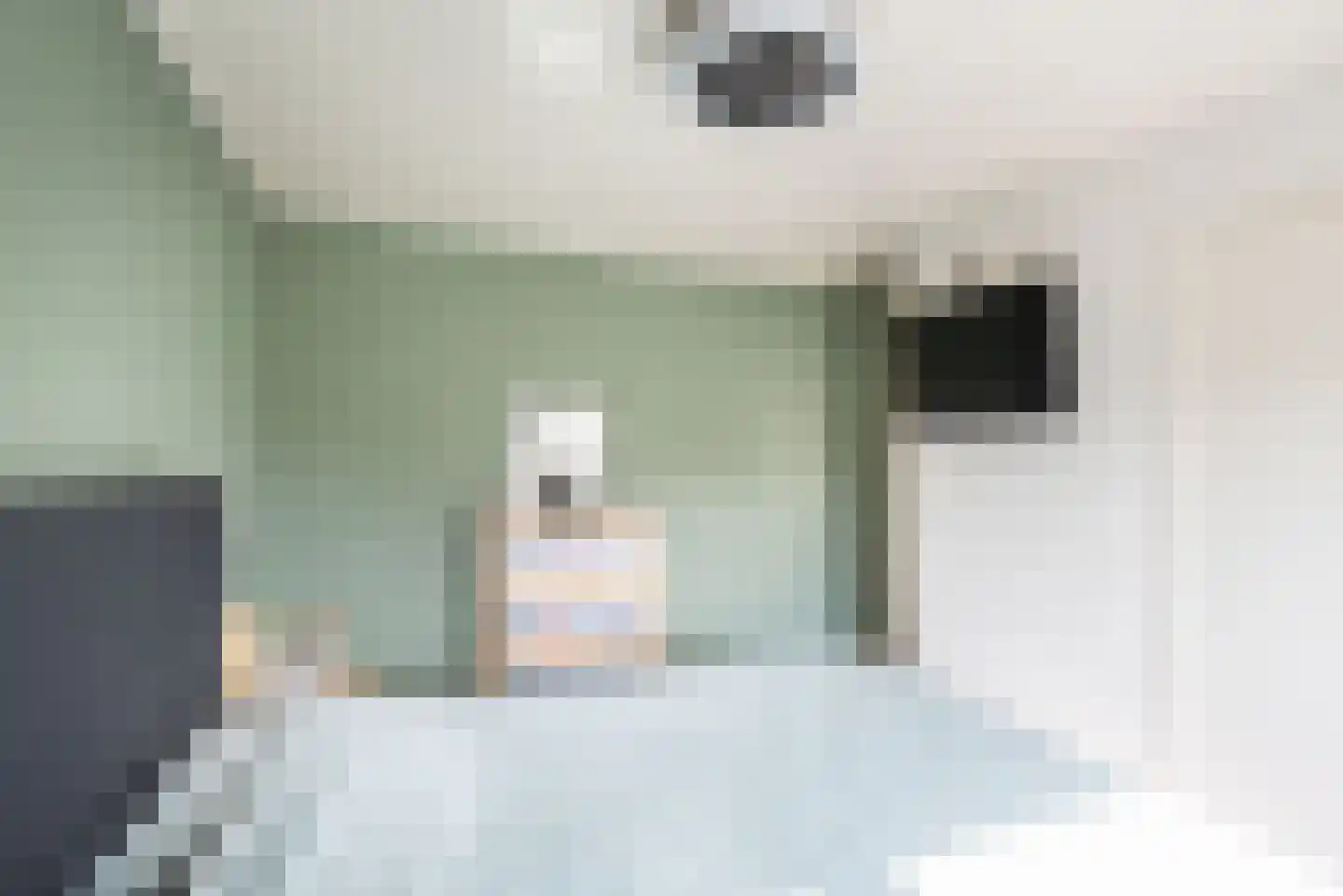 Steenstraat 24 Didam thumbnail 19
