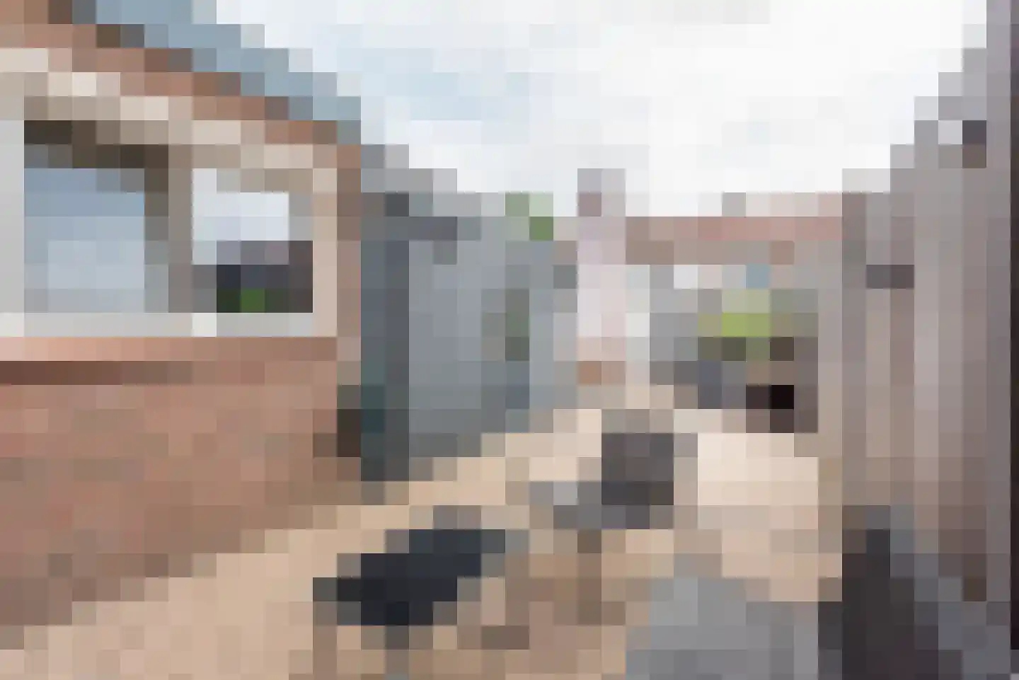 Steenstraat 24 Didam thumbnail 27