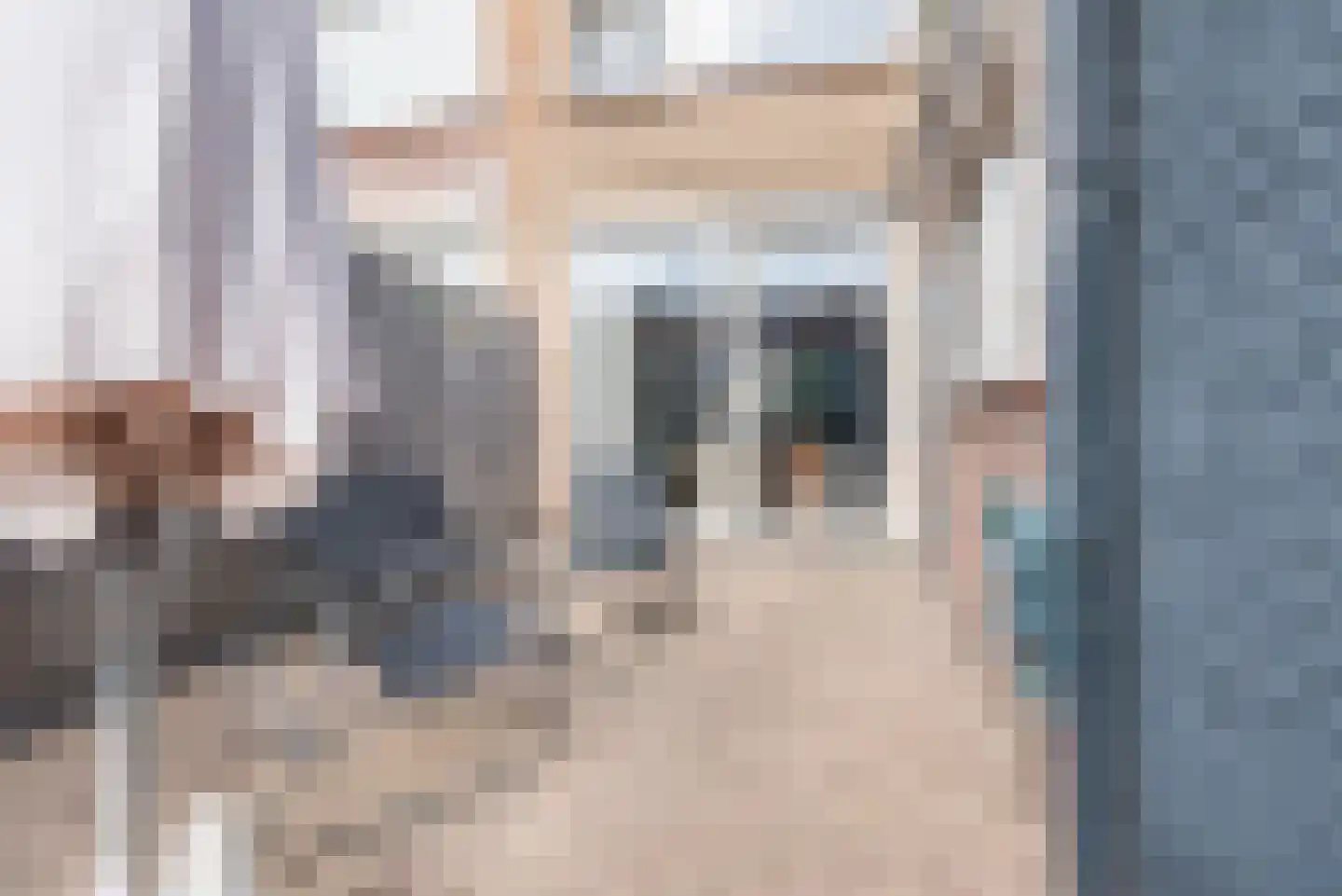 Steenstraat 24 Didam thumbnail 28