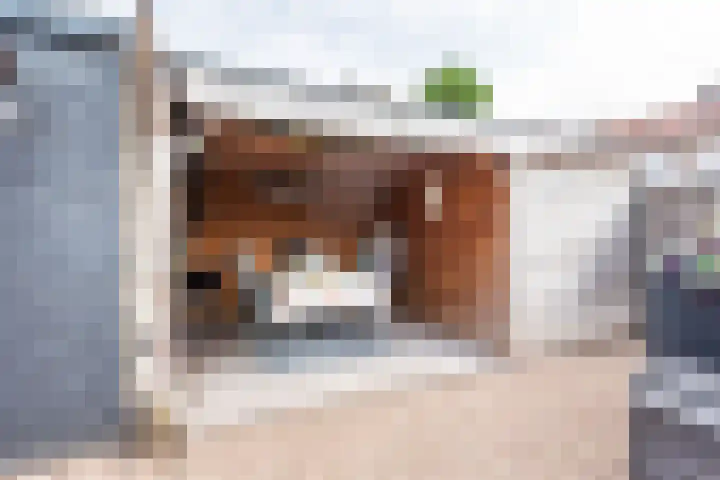 Steenstraat 24 Didam thumbnail 30