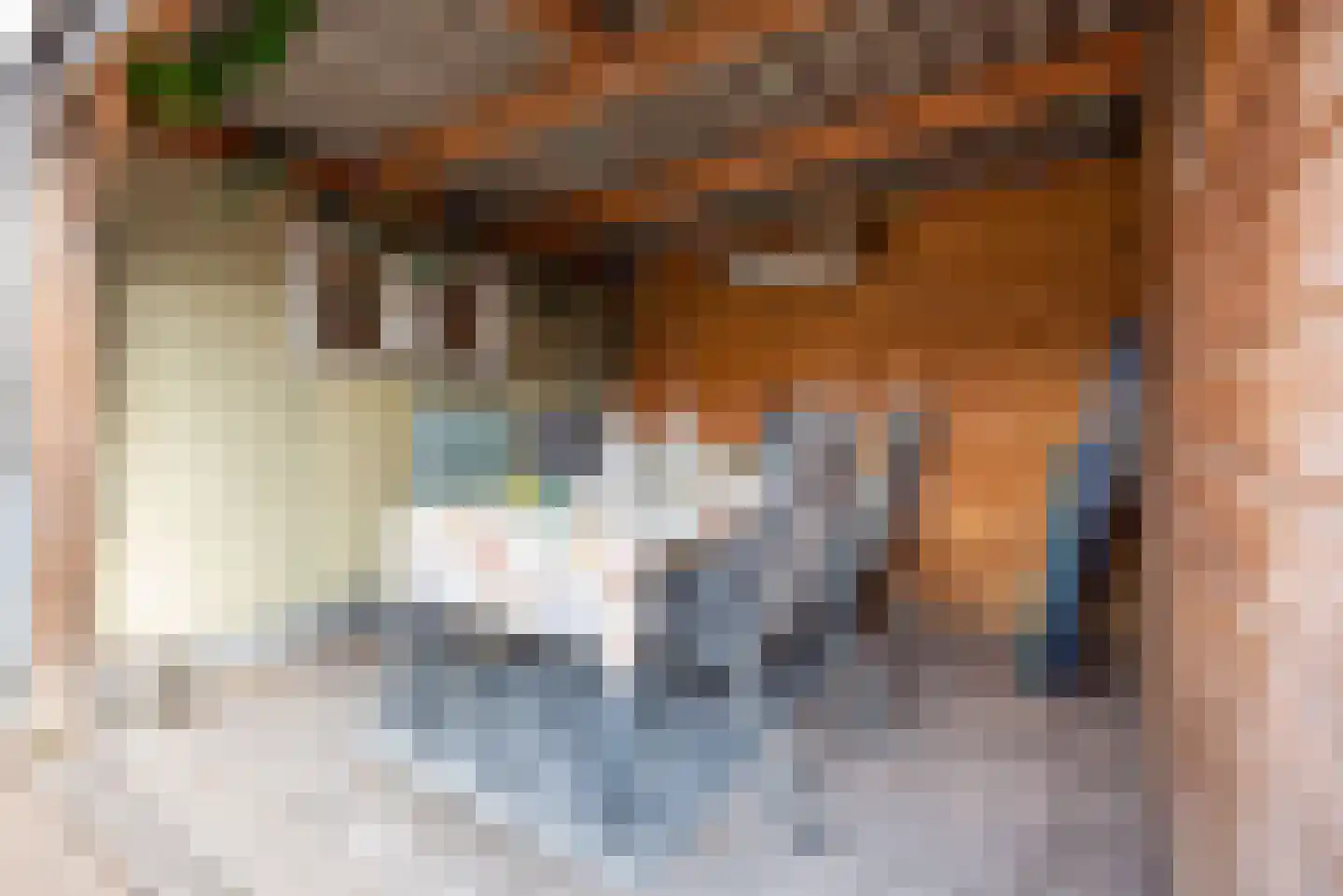 Steenstraat 24 Didam thumbnail 31