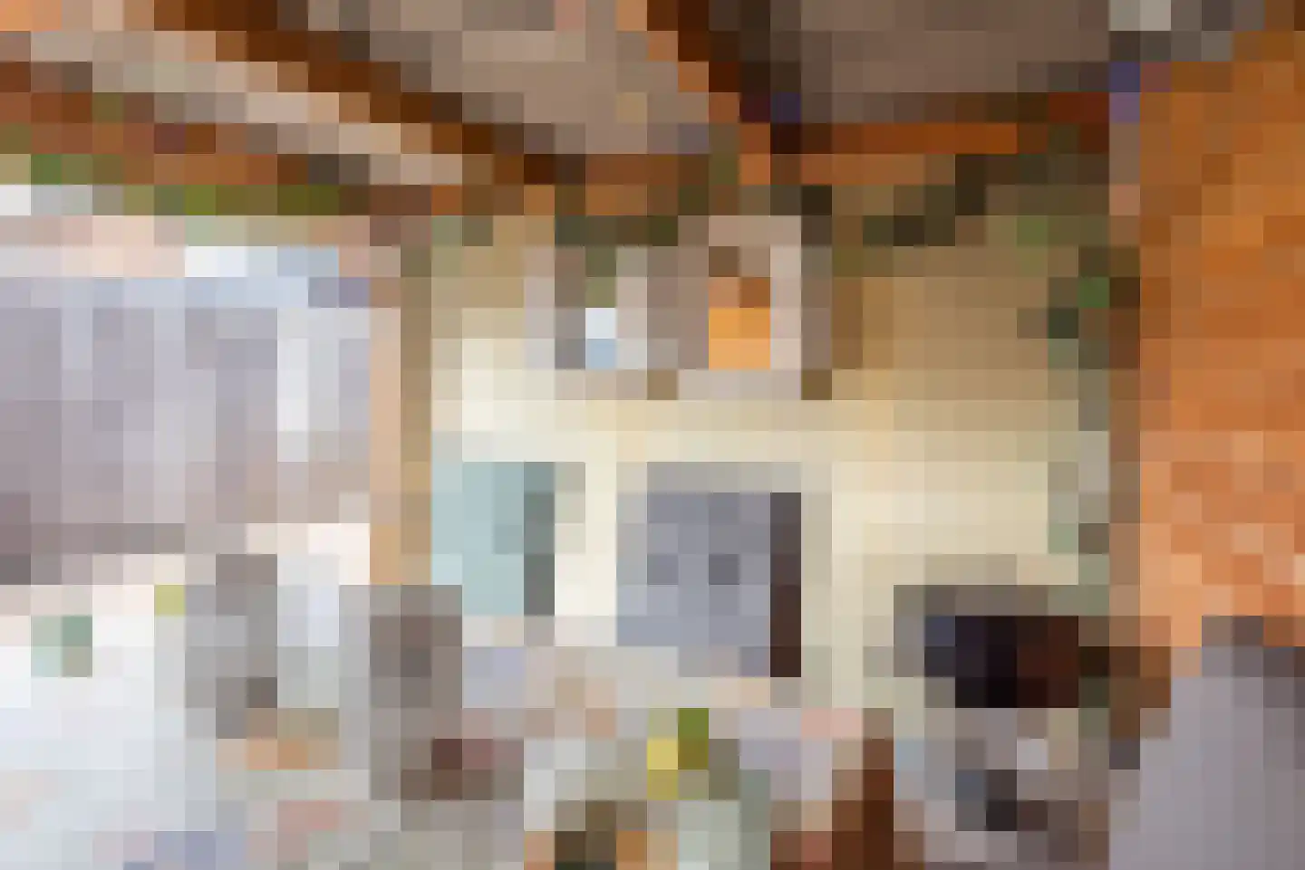 Steenstraat 24 Didam thumbnail 32