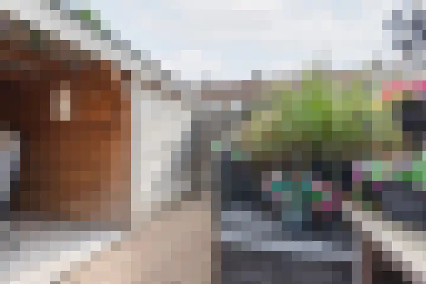 Steenstraat 24 Didam thumbnail 33