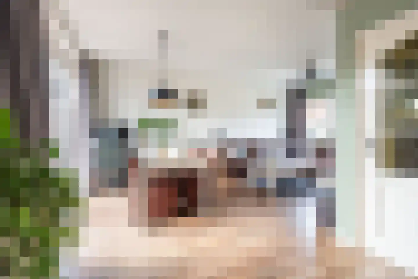 Steenstraat 24 Didam thumbnail 4