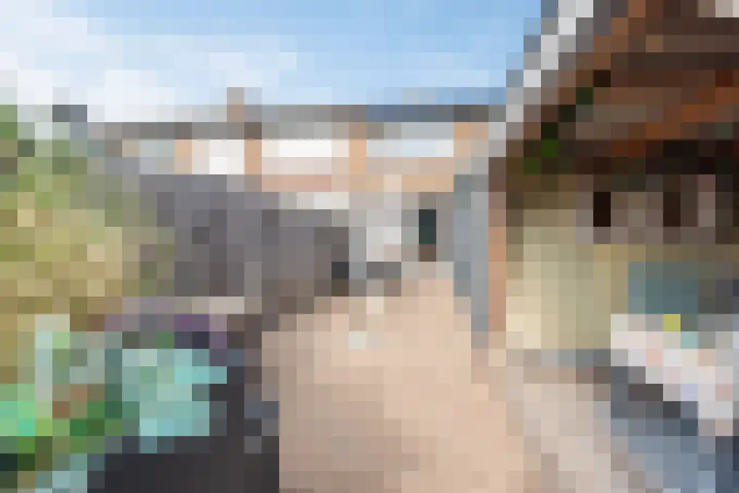 Steenstraat 24 Didam thumbnail 5