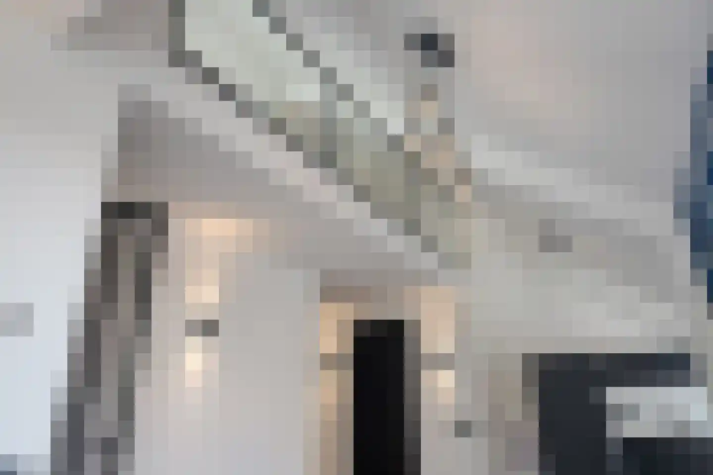 Steenstraat 25 b Hulst thumbnail 17