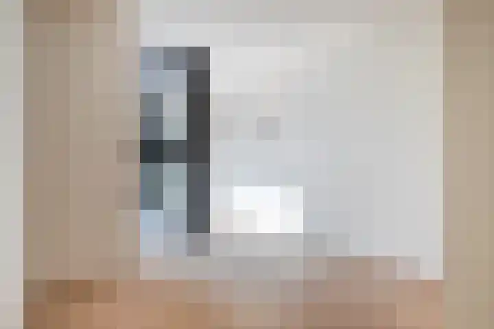 Steenstraat 25 Hulst thumbnail 45