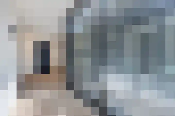 Steenstraat 25 Hulst thumbnail 47