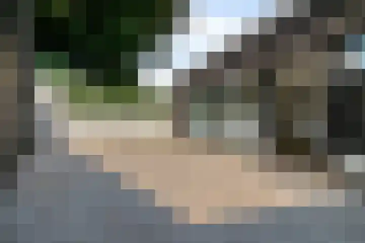 Steenstraat 25 Hulst thumbnail 72