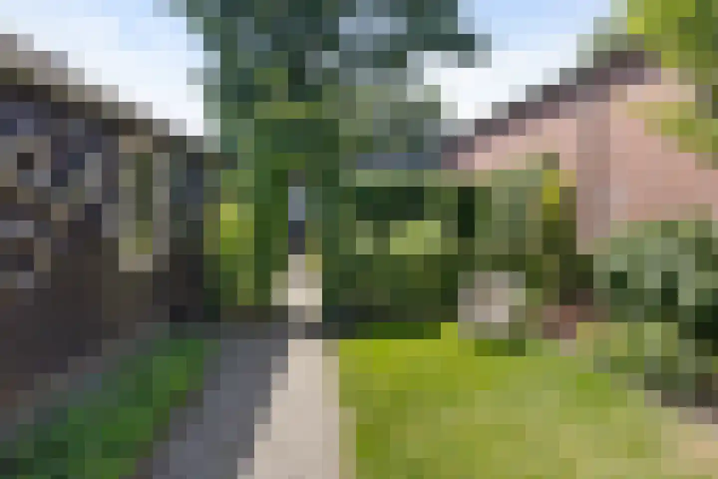 Steenstraat 25 Panningen thumbnail 4