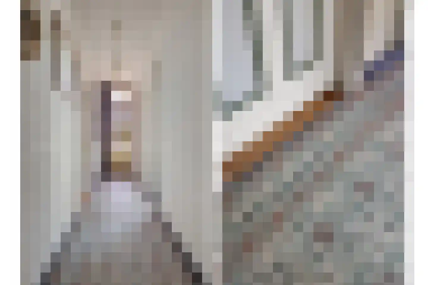 Steenstraat 25 Panningen thumbnail 5