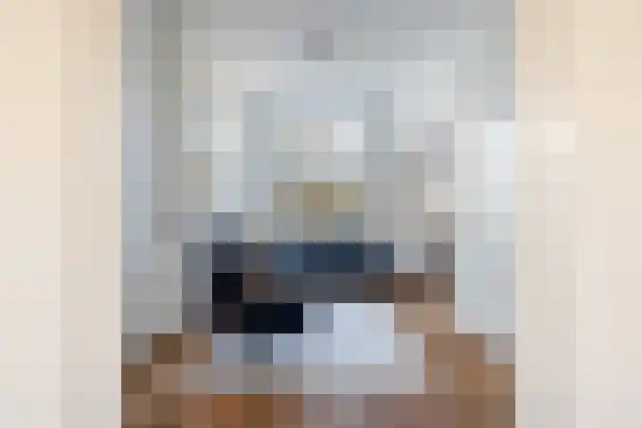 Steenstraat 26 Utrecht thumbnail 9